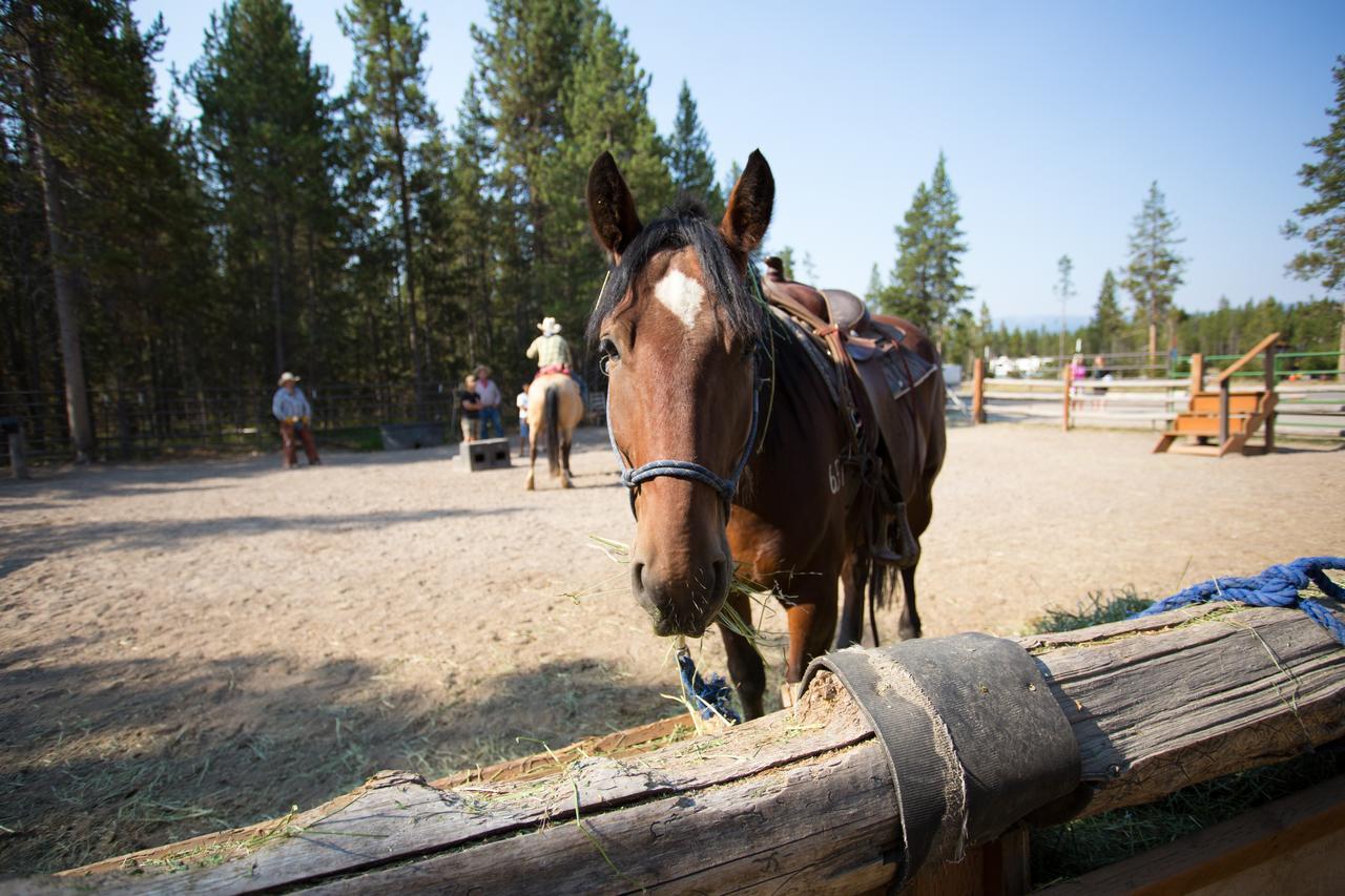 Headwaters Lodge & Cabins At Flagg Ranch Moran Luaran gambar